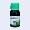 CALADIUM SEGUINUM 1M MASOOD