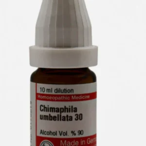 CHIMAPHILA UMBELLATA 30