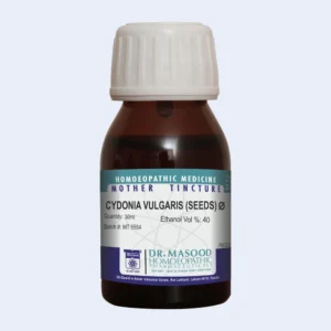 CYDONIA VUL VULGARIS Q MASOOD