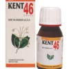 KENT 46