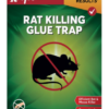 KINGTOX RAT KILLING GLUE TRAP