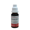 SYMPHYTUM OFFICINALIS Q PLANT EXTRAKT