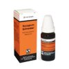SYZYGIUM SCHWABE DROPS 20ML
